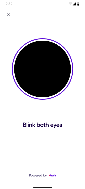 Blink challenge